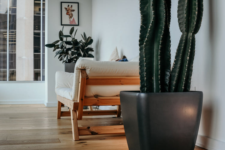 Cremefarbenes Sofa
